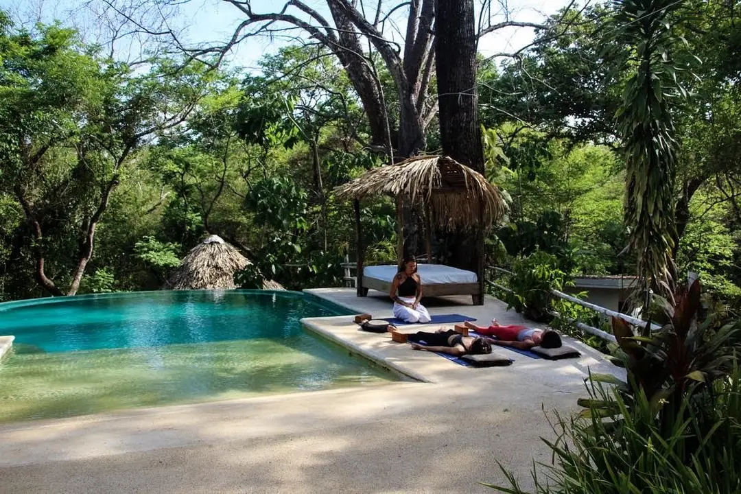 La selva y la shala de Naya Nosara