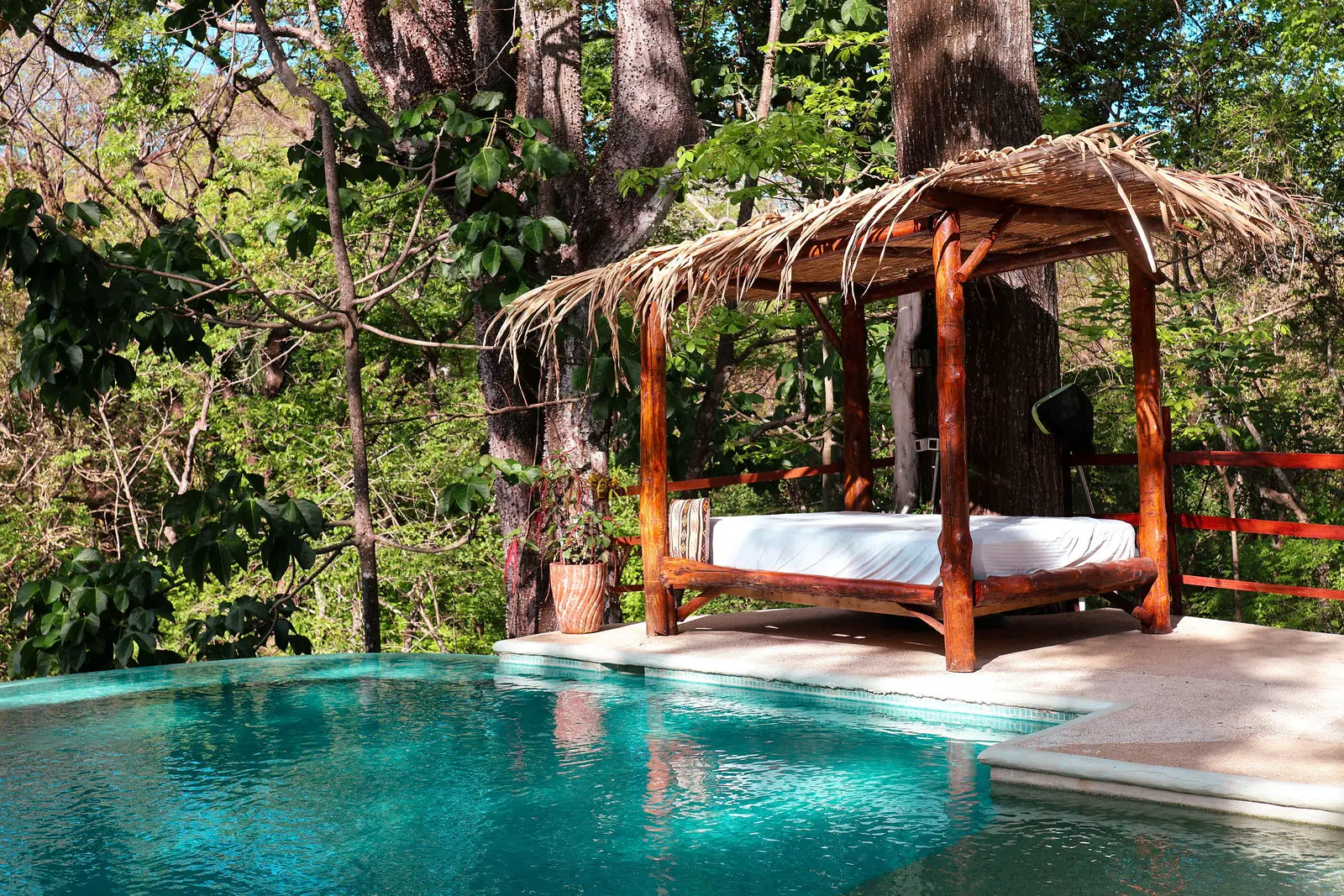 The infinity pool and daybed at Naya Nosara