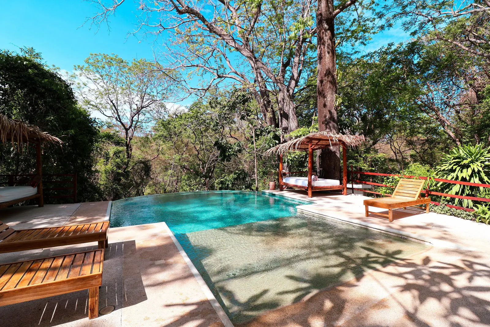 The infinity pool at Naya Nosara under old trees, with a thatched daybed and wooden loungers